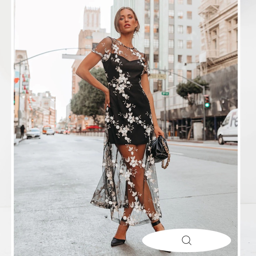 Floral embroidered sheer Maxi Dress Medium- VICI